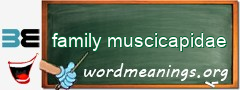 WordMeaning blackboard for family muscicapidae